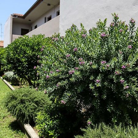 Yannis Apartments Afytos Zewnętrze zdjęcie